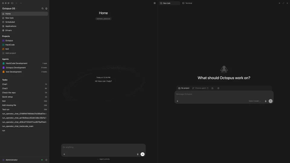 Octopus OS workspace overview
